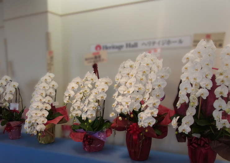 フィルスター インダストリア 超音波スピンドル コスト削減